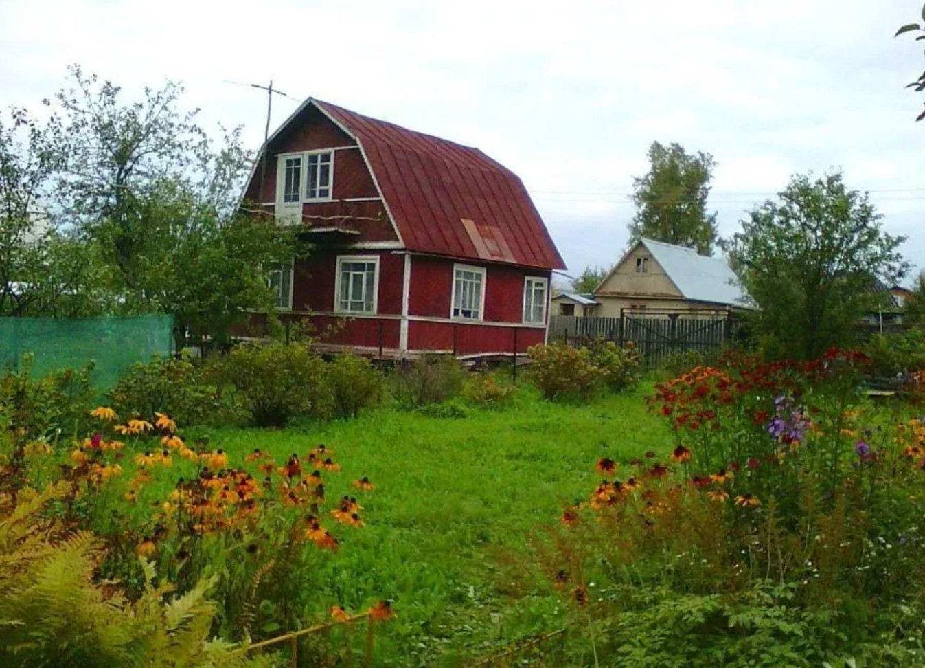 Деревня Анциферово Московская область