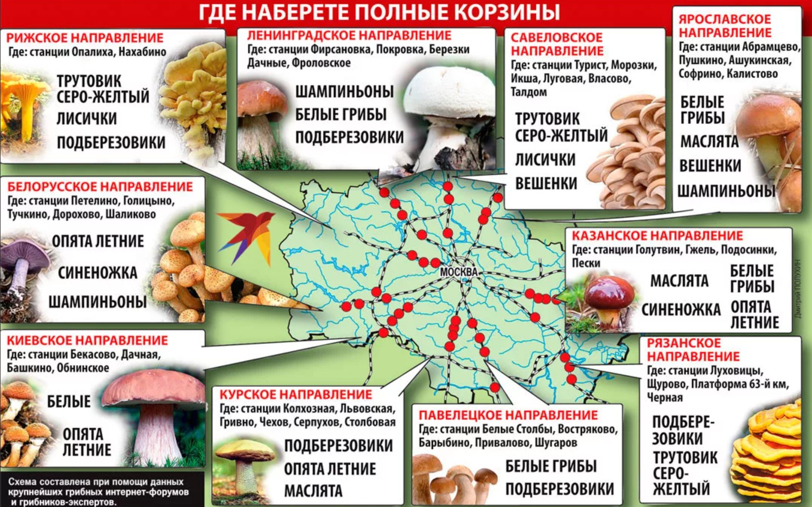 Карта сбора грибов Московская область
