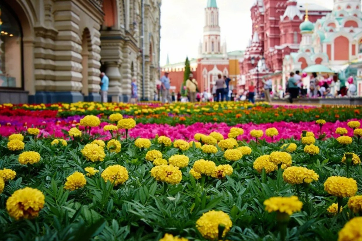 Фото Цветов Москва